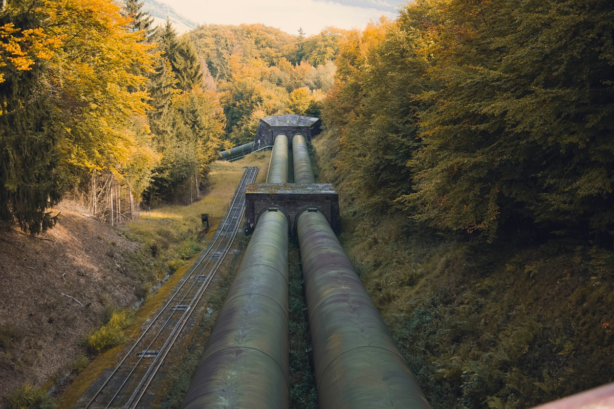 District heating pipeline running through woodland